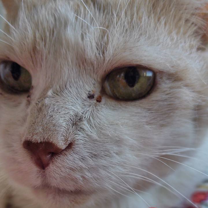 231387e0 d1f9 4abf bc08 43f519e75431 1751068466694