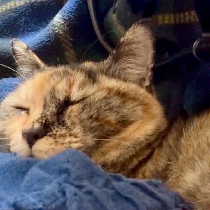 2313a278 2134 4701 ab8f 0ecb662eb9be 1770812360945