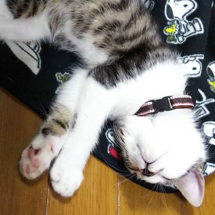 2313d677 607a 46cb adf1 d057cd1abdac 1608121011622