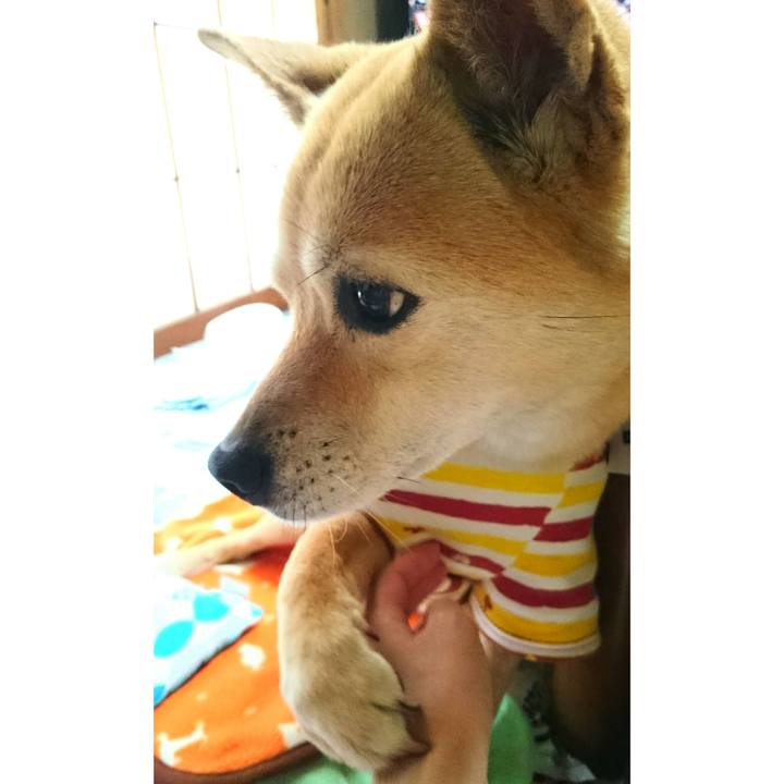 23143ca1 8da2 4747 9ce0 1d972c94c79f 1561380232214