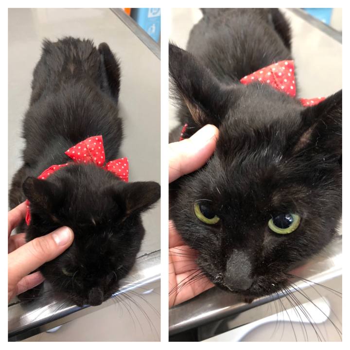 23144d41 28e8 4a46 8717 33e1299a3550 1555661182521