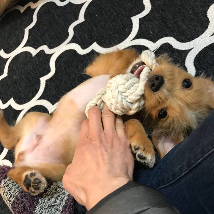 2314542e 859b 46b8 991e 404b2ff66a83 1518788266028