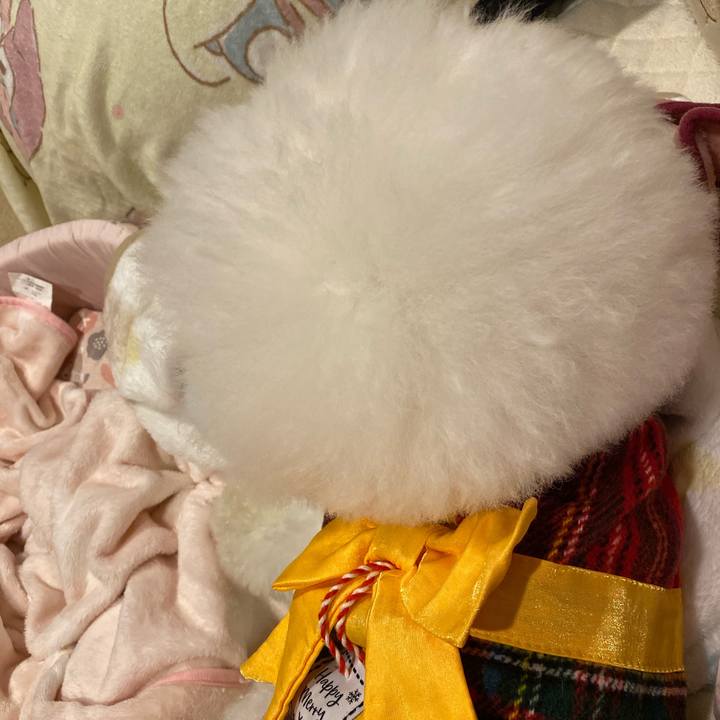 231488d2 20fa 4670 834c 367b06d01b12 1734958130667