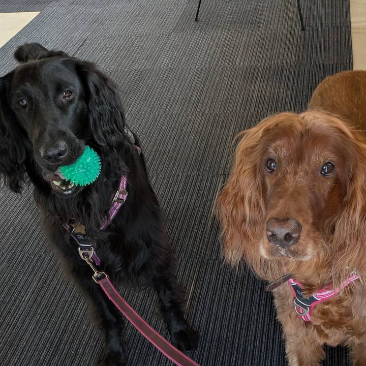 2314958d d2f9 43fd 9795 fab65e4569b9 1757414101148