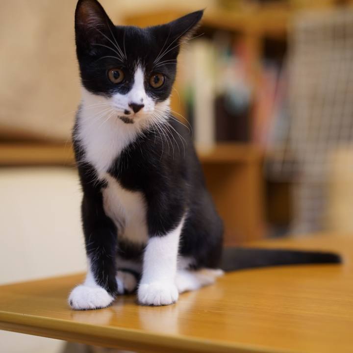 23149aa9 84a5 4c1b 8887 548f3060720c 1570005398805