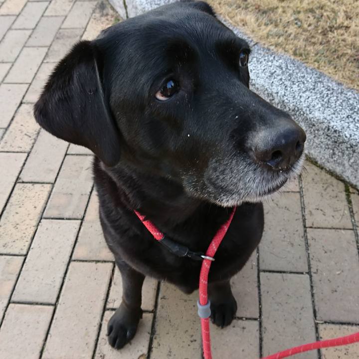 2314e0d4 620d 431e a31f faa89a040f2b 1547000789293