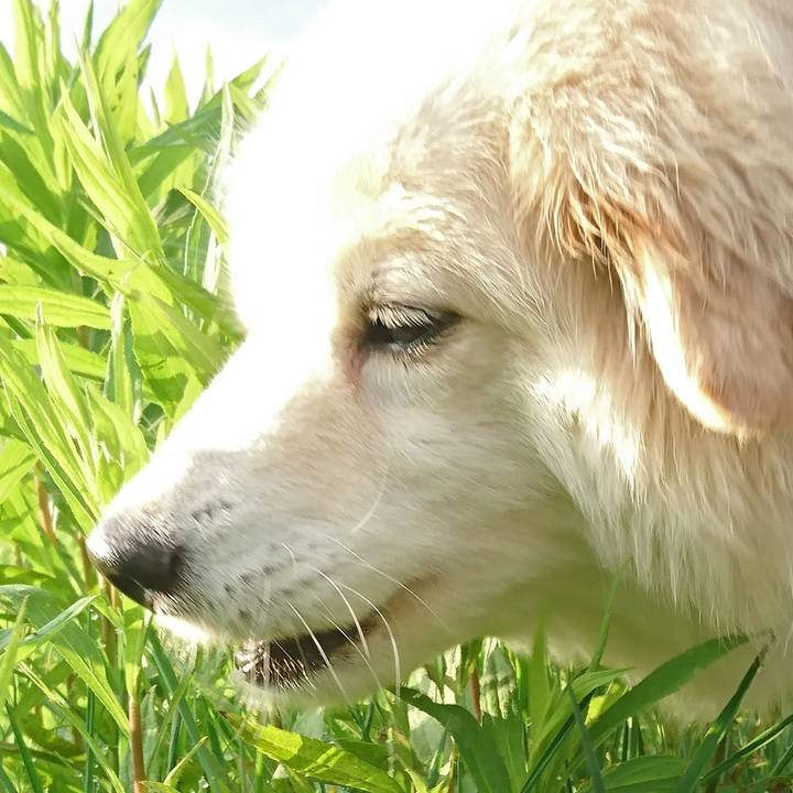 23152b6a 6dba 4a43 80d2 5ec5f3a26573 1531574320072