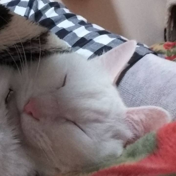 23154df5 03dc 410b a77d 728cdc2ea23c 1669237252423