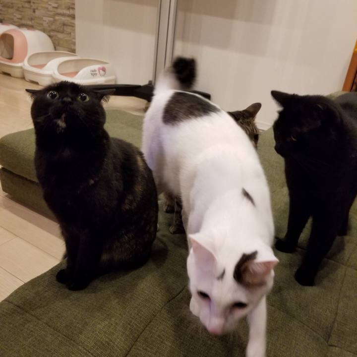 2315bcc4 b007 41f3 b96b 6d696605a626 1585501738202