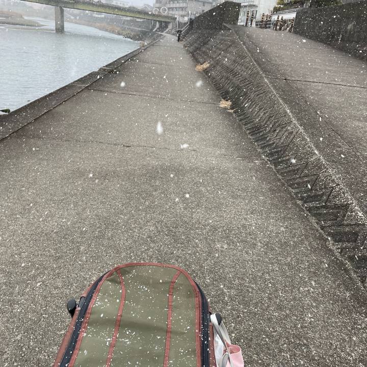 2315dd56 b9f0 44a9 bea2 9b2dc3f90285 1674549402035