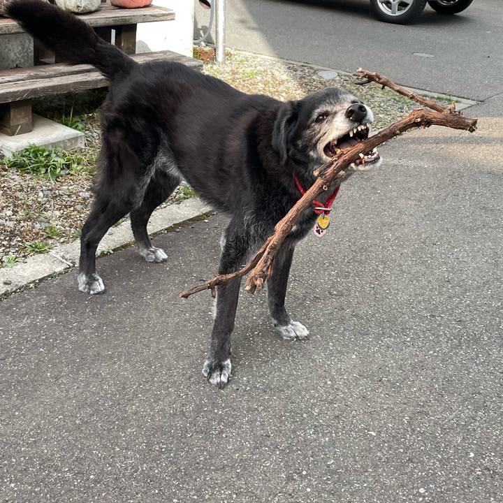 2315efc5 526a 4a1a b349 ef5391d2452b 1775989057189