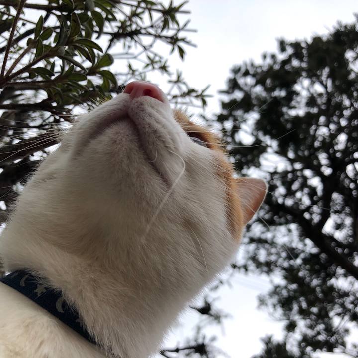 231603ac 3155 4733 901d 70881fe525e5 1553905391800