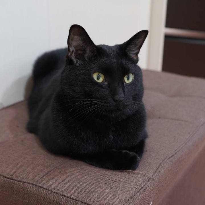 23162ac4 56b9 43c6 a552 671107698630 1594391765607