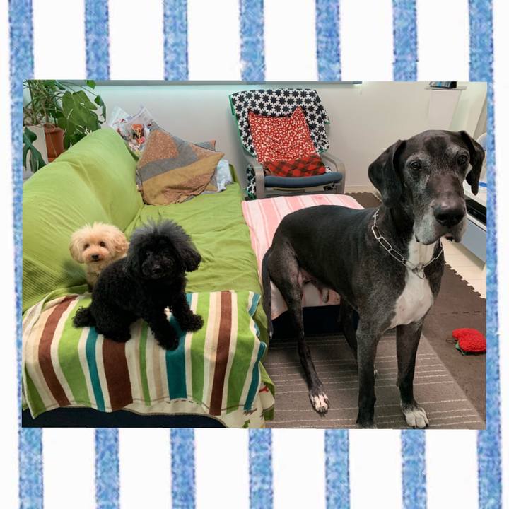 231630f0 89f7 4f1c bdad 459443acc698 1598999766933