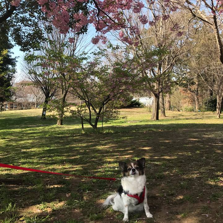 2316920f c360 4439 9988 4ddbbaef695d 1583118602208