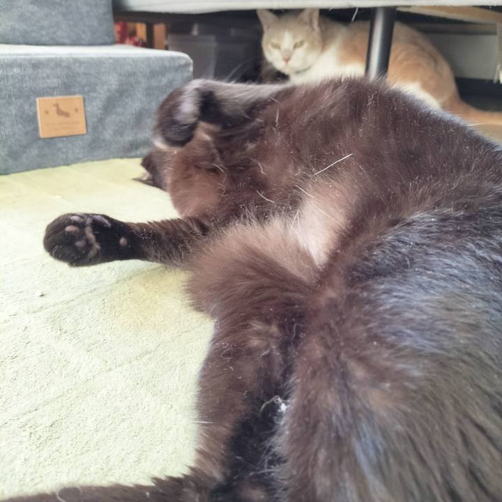 2316ace2 655c 4a35 8be1 ee1b7b79877f 1665875358112