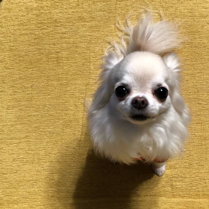 2316c951 78e9 4f67 a815 5e6ad86c6641 1522508171264