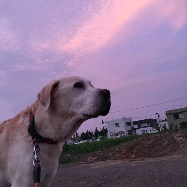 2316f930 3af2 4eb6 ae9b 5f426d2677ff 1531825713200