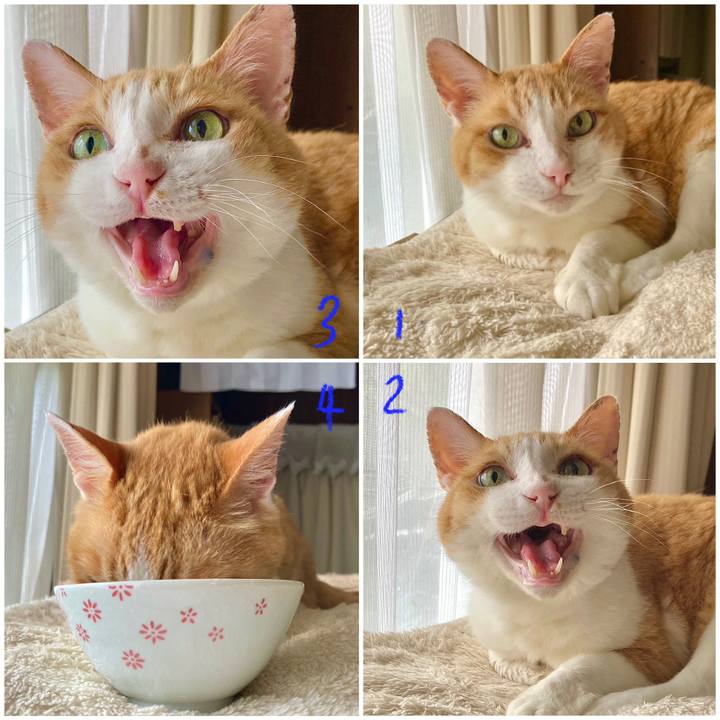 231735f4 3cec 4582 9991 91b9c04a46b1 1689484901352