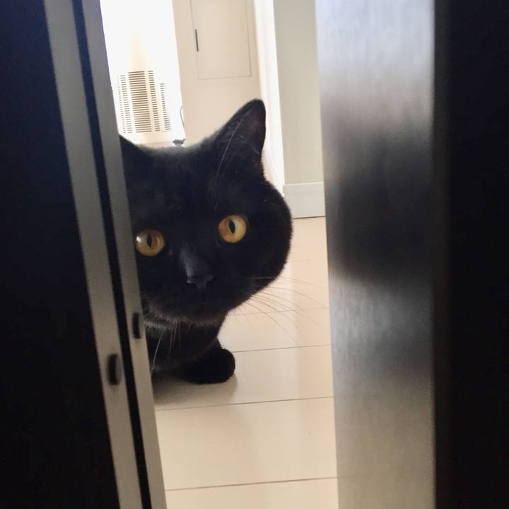 23175299 fcaa 46d1 8cf5 7c57ef2f51b0 1527925415313