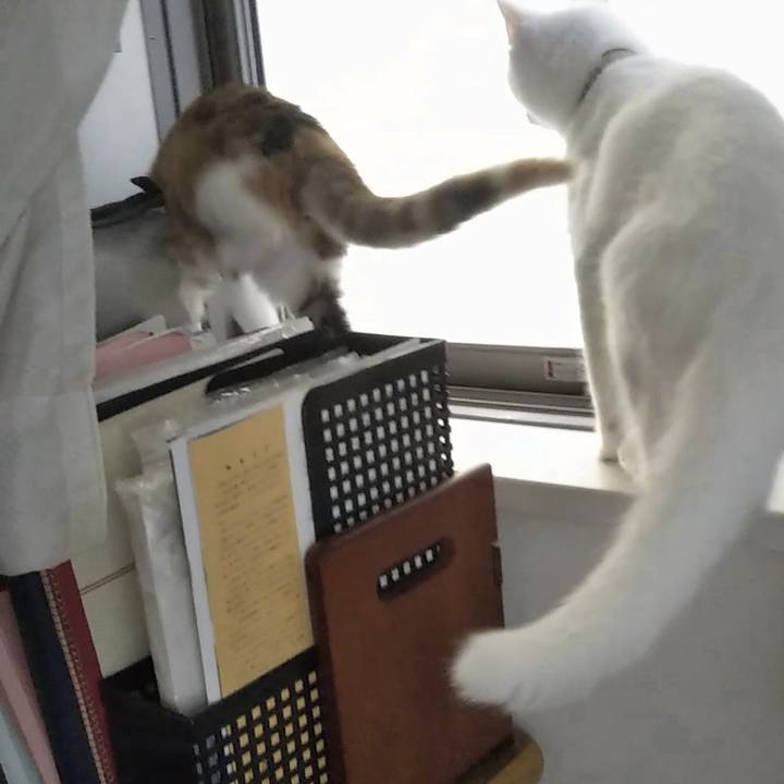 23175b53 a8b4 423c be2b 62cec8ec5c14 1629499142272