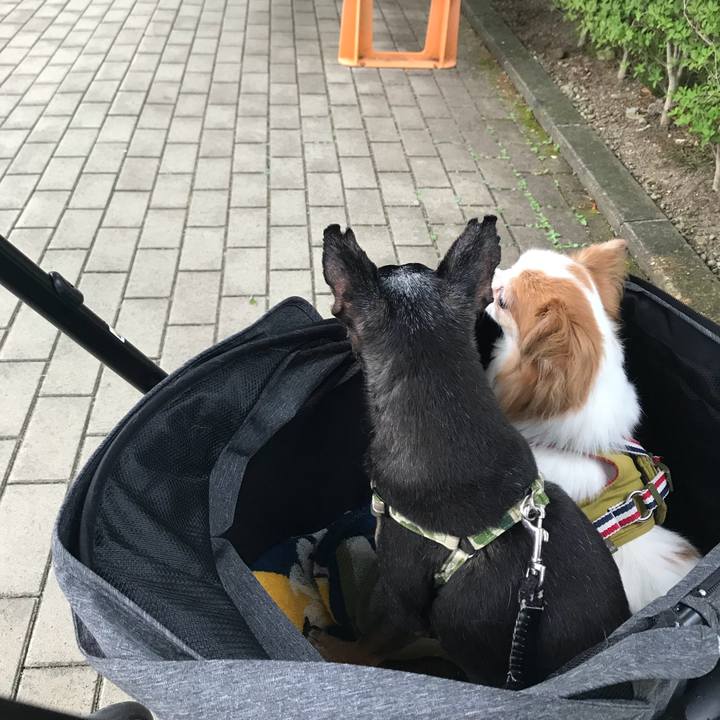 23176e46 0e37 43ec b8e0 0cddc940ec0f 1566127315650