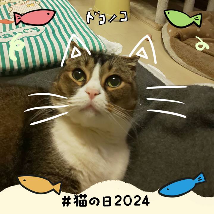 231773fd a80d 491f 8279 d90750c2fa7d 1708610186799