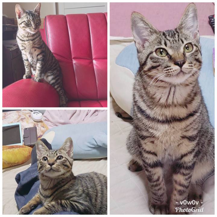 2317a6cc c96a 461b b512 d12b2e309b13 1543685955682