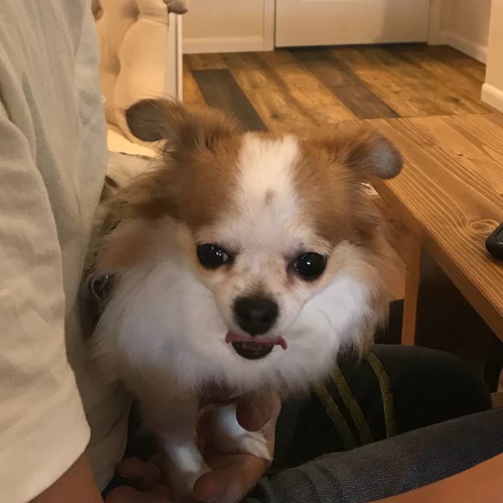 2317ba3b 55e1 4227 860b 5fa879c2df9c 1569157030955