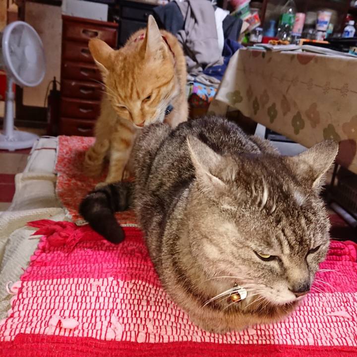 2317d7f8 3560 4966 8166 660291e22c81 1559902969731