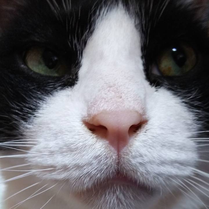 2317deb1 66f6 4ed7 be98 37dc95919362 1557550545580