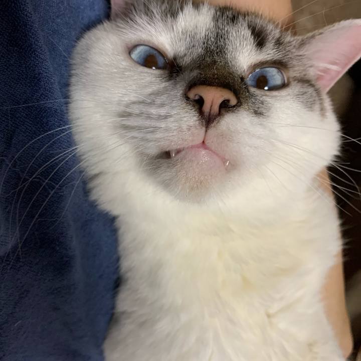 2317e849 96e4 45f9 96f1 b6905dd47c0f 1593228299567