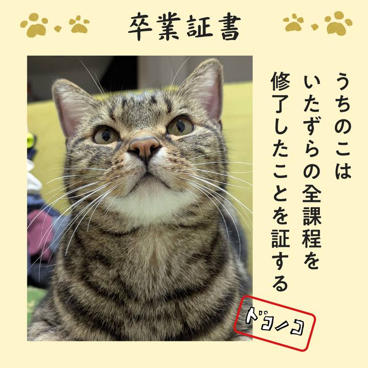 23181f19 5eef 4587 9e37 e81bbba0105f 1772323181174