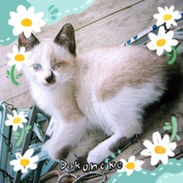 23182f10 e25b 4ebe b2ab 39079b8ce96b 1712276799684