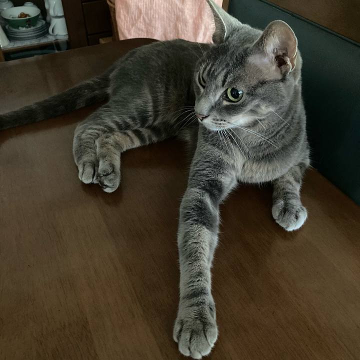 23184256 fe43 411b b882 3441efe70936 1658617551403