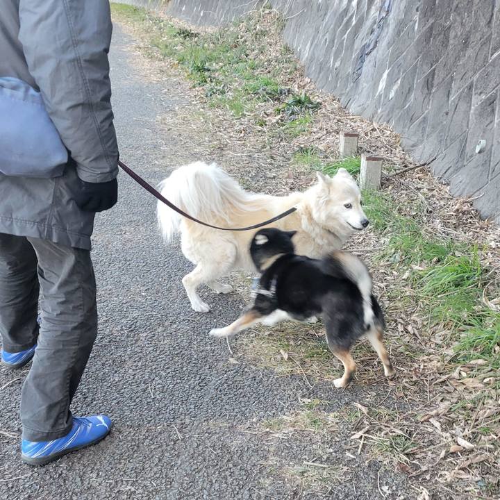 2318d91b 020e 4740 a00d 721cc841d7c1 1769814976367