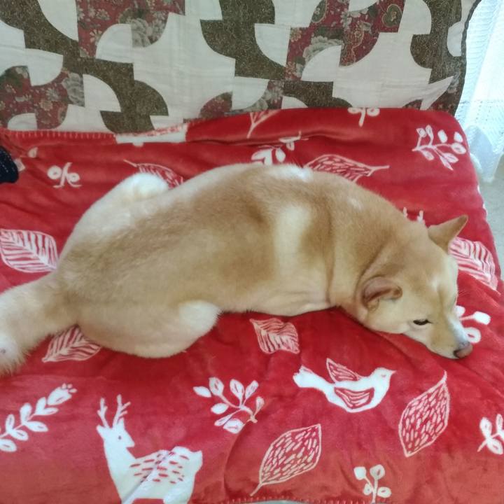 2318f202 4d6f 4f99 afc5 92c793d9627a 1578998897282