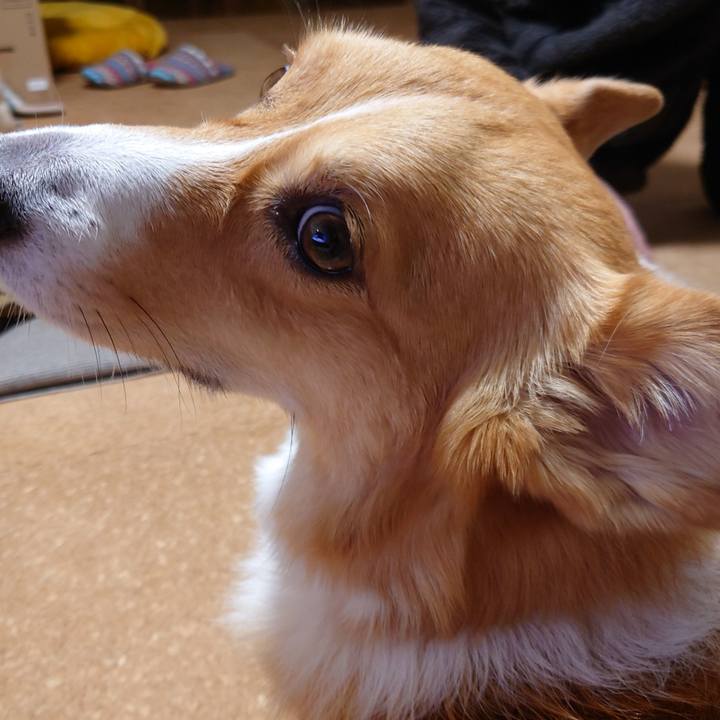 2319049d a0db 410e 885a 09ed69e0cc98 1765206499455