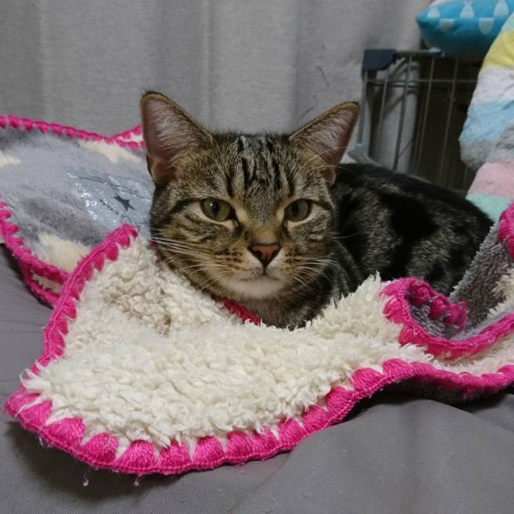 2319117a eaa6 4aa1 b1b4 e446f279427b 1509791664054