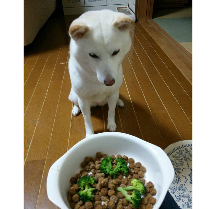 231955f1 dd11 4d77 936a 537d977acdef 1550141863386