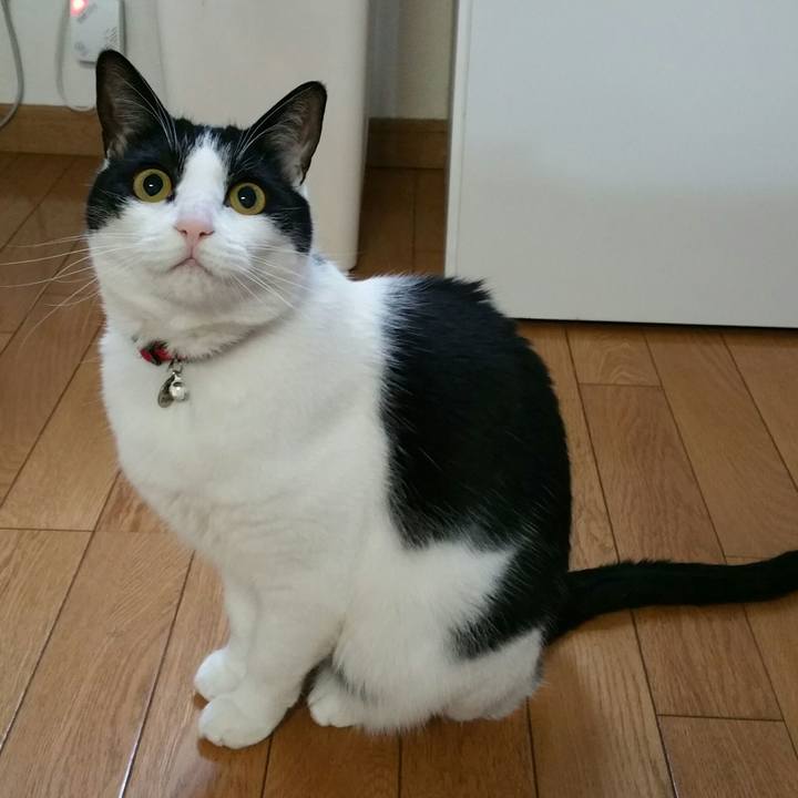 23197038 13dc 40a8 af14 597838c77200 1546430251000