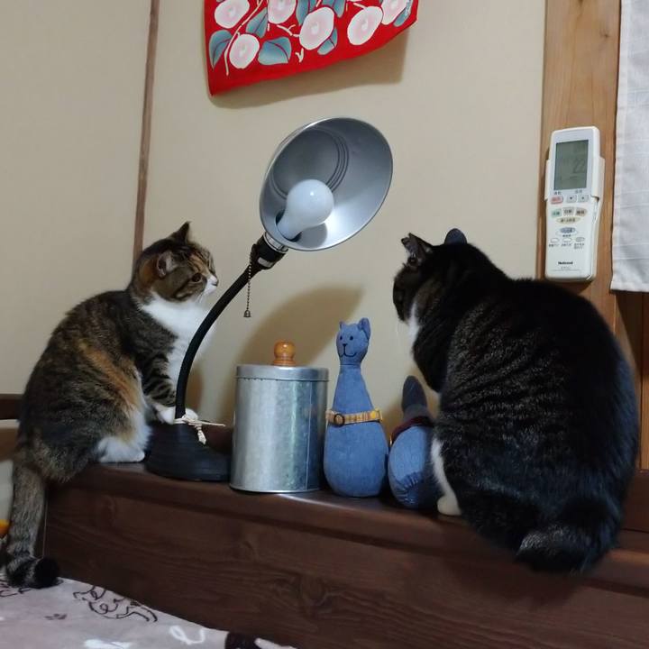 231974a2 2011 476f 8a6d 87320067cebc 1767880521938