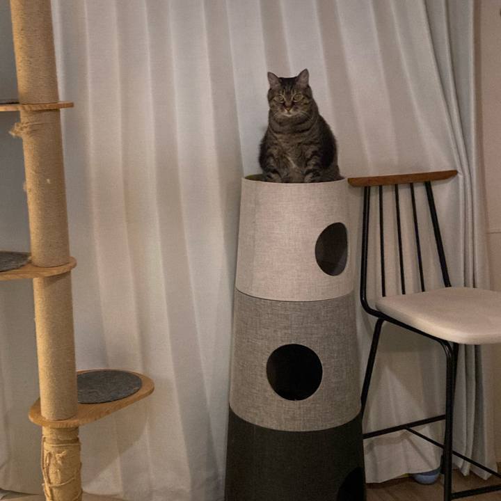 23198f3b 5b90 4df7 97c5 d1e4dfc8738a 1740397903780