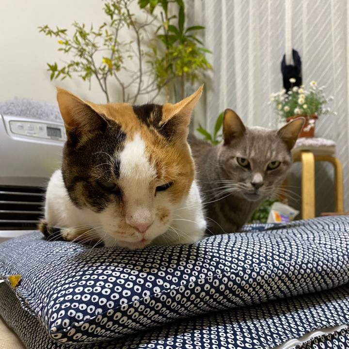 2319921c 3e84 4dbe 8b1e f65622f7228d 1647391015017