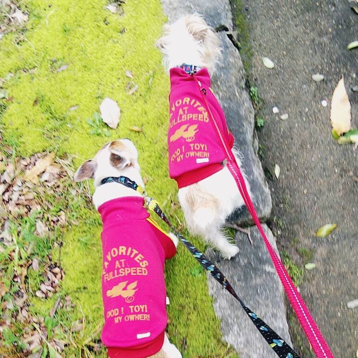 2319a017 b0d8 4d3b 9602 1cbeb254e32e 1585459331247