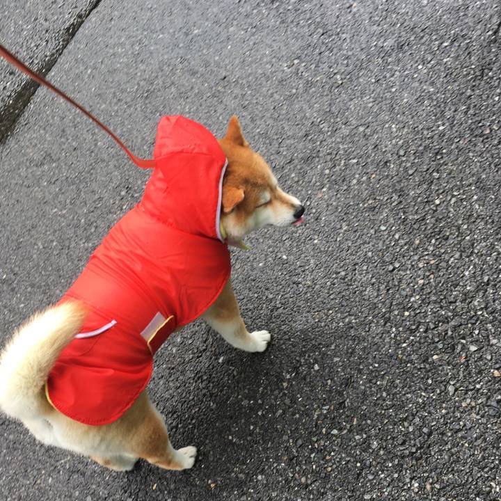 2319a3cf cfe3 403f a666 ce1e97b250bc 1568607611144