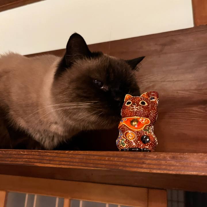 2319d5e9 e179 42e7 95c2 4c54b3c8cf09 1700817605239