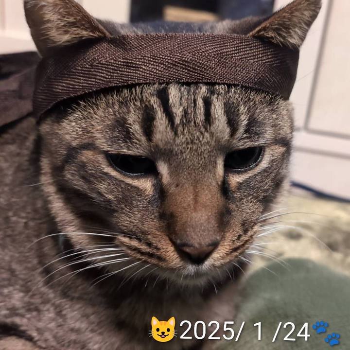 2319d9b6 4a1b 44fa bc77 de3b478adae8 1775216477804