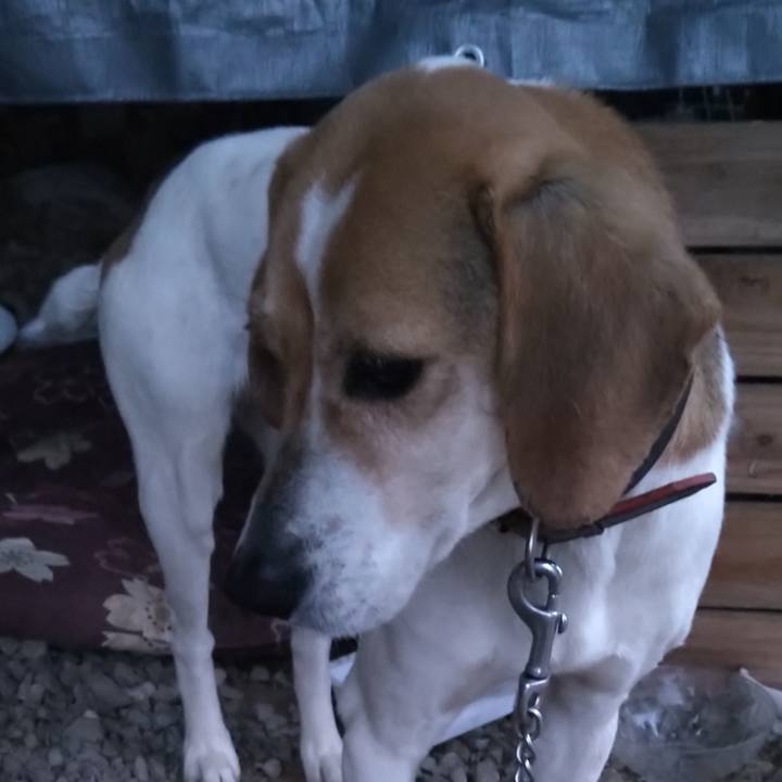 231a5204 94ed 41bf 86b6 7592a2369435 1650553104254