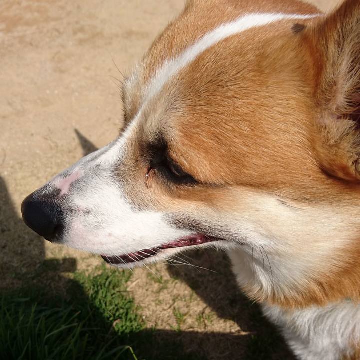 231a5b8c 68ad 4acc 91f2 6a011f8febb6 1614166087095